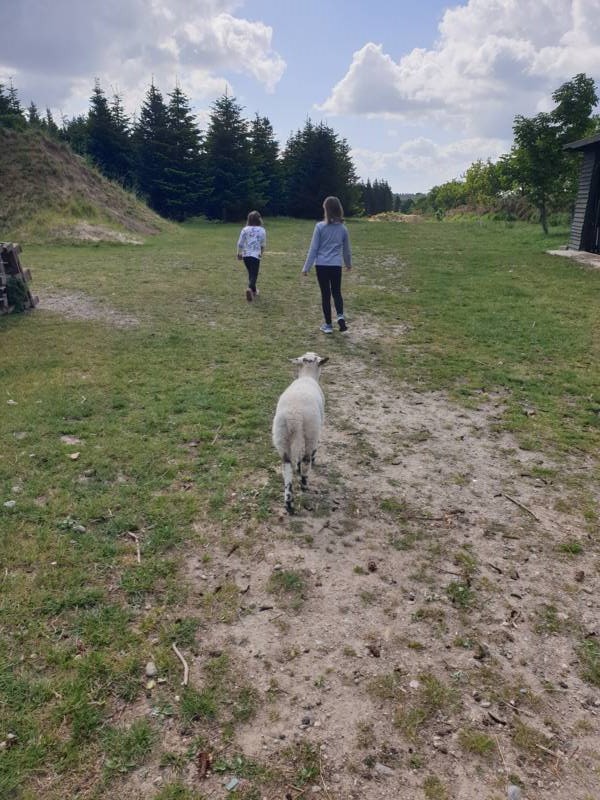 20220527_095035 __k.jpg